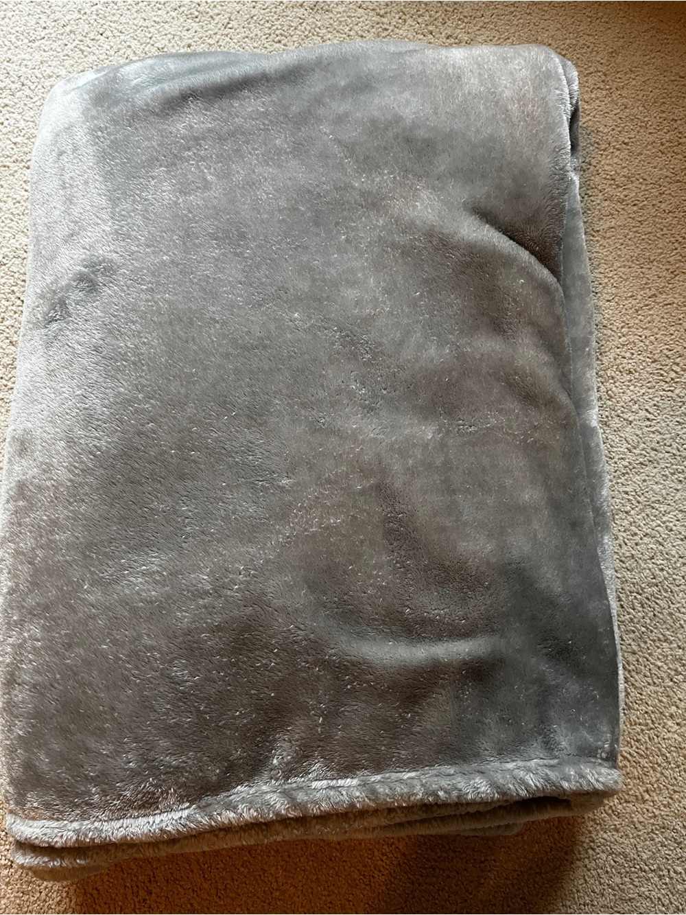 Twin plush blanket